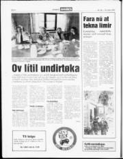 Síða 6