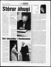 Síða 7