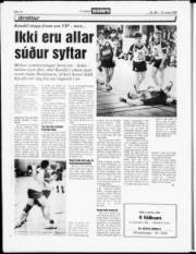 Síða 14