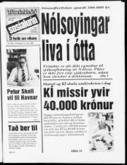 Síða 1