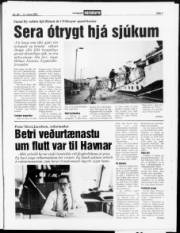 Síða 3