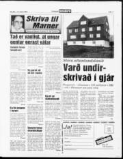 Síða 11