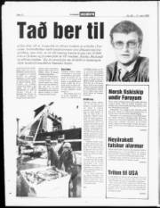 Síða 12