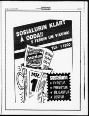 Síða 13