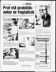 Síða 17