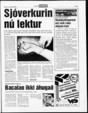 Síða 5