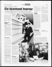 Síða 7