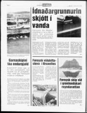 Síða 6