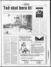 Síða 13