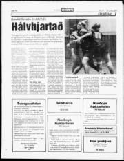 Síða 16