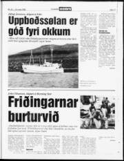 Síða 17