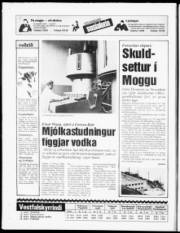 Síða 20