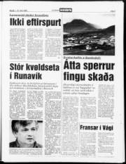 Síða 3