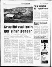 Síða 4