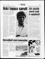 Síða 5