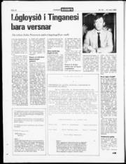 Síða 18