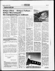 Síða 19