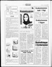 Síða 20