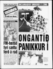Síða 1