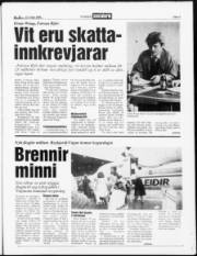 Síða 3