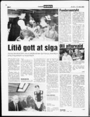 Síða 6