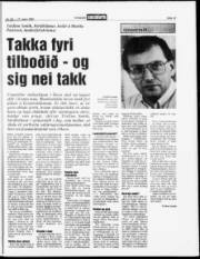Síða 13
