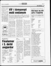 Síða 17