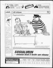 Síða 20