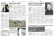 Síða 3