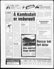 Síða 16