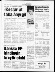 Síða 3