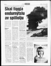 Síða 14