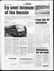 Síða 3