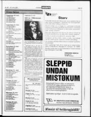Síða 15