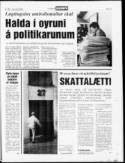 Síða 17