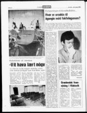Síða 22