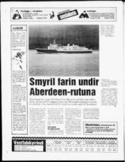 Síða 24