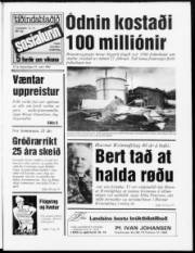 Síða 1