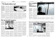 Síða 8
