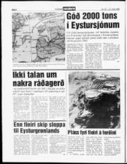 Síða 4