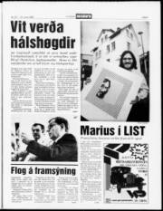 Síða 5