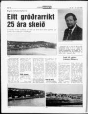 Síða 10