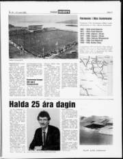 Síða 11