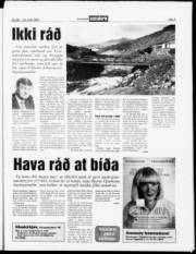 Síða 3