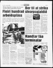 Síða 5