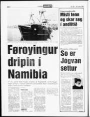 Síða 6