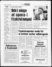 Síða 9