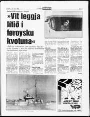 Síða 5