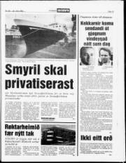 Síða 13