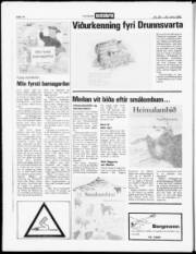 Síða 14
